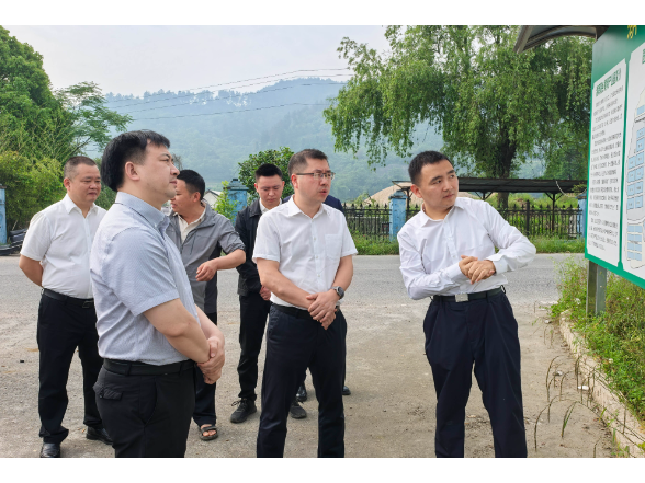 杨凯程专题调研中药材产业发展工作
