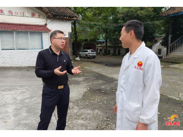 杨凯程专题调研重点项目建设工作