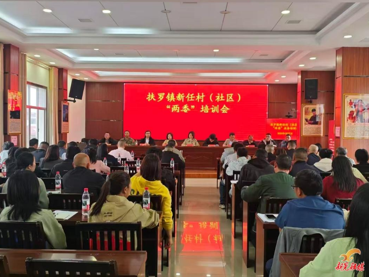 扶罗镇举办新任村（社区）“两委”干部业务培训会