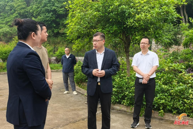 杨凯程到乡镇调研安全生产工作
