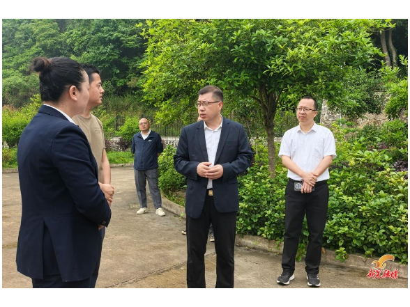 杨凯程到乡镇调研安全生产工作
