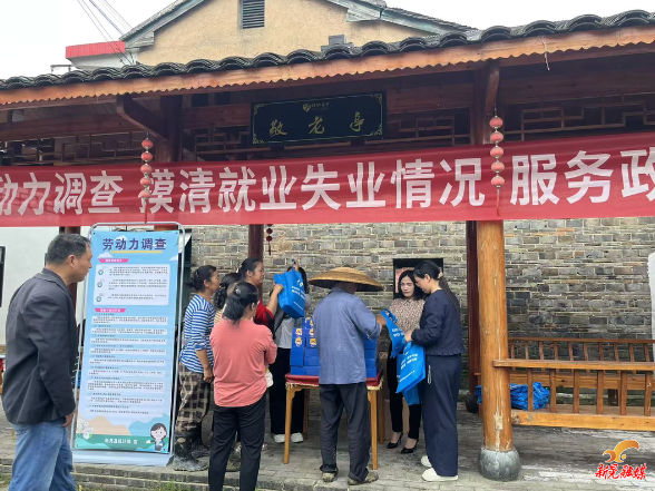 摸清就业底数 服务民生发展——波洲镇柳寨村开展劳动力调查宣传活动