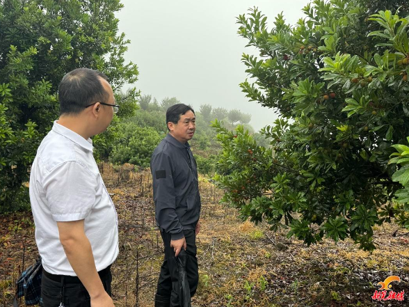 符家盛到鱼市镇晃州镇检查督导工作
