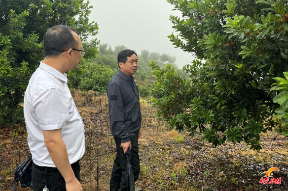 符家盛到鱼市镇晃州镇检查督导工作