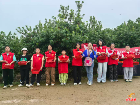 妇联同心聚合力 青春助农杨梅红