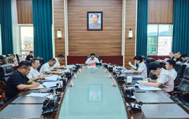 符家盛主持召开2026年第二十次县委常委会会议
