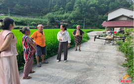 农技服务到田间 免费植保暖民心
