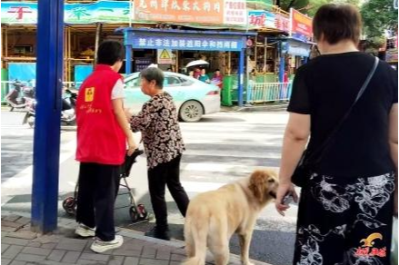 文明交通 青春同行
