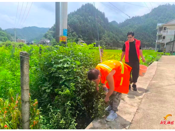 凉伞镇：人居环境集中整治再发力 绘就和美乡村新颜值