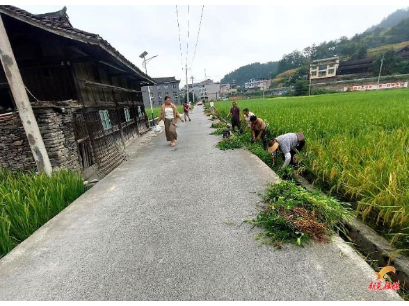 打样立标杆 分片促共进 全域齐提升 ——贡溪镇扎实推进农村人居环境提质增效