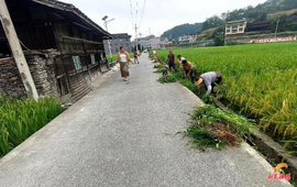 打样立标杆 分片促共进 全域齐提升 ——贡溪镇扎实推进农村人居环境提质增效