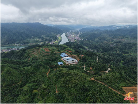暮山坪养牛基地：做强生态黄牛产业 激活乡村振兴新动能