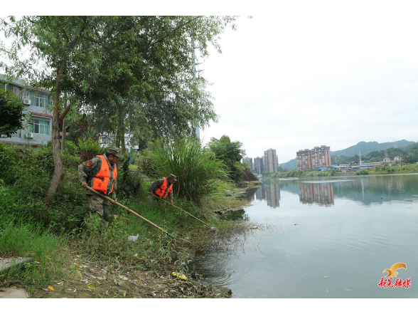 迷彩护家园 整治焕新颜——新晃人武部组织民兵应急排开展城市环境综合整治行动
