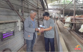 鱼市镇开展养殖场兽药使用排查整治行动 守护群众“舌尖上的安全”