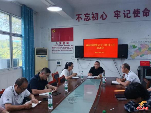 林冲镇：扎实开展网络安全宣传周活动 筑牢基层安全防线
