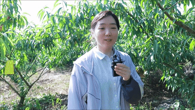 6月17日张春丽美化视频[00_00_04--00_00_09].gif