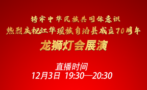 龙狮灯会展演