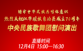 中央民族歌舞团慰问演出