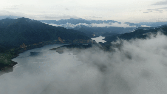 【生态环境保护督察“回头看”】保护涔天河湿地 树起潇水源头生态屏障