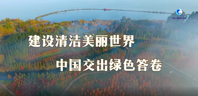 第一报道｜建设清洁美丽世界，中国交出绿色答卷