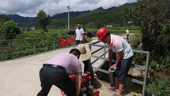 动图2.gif