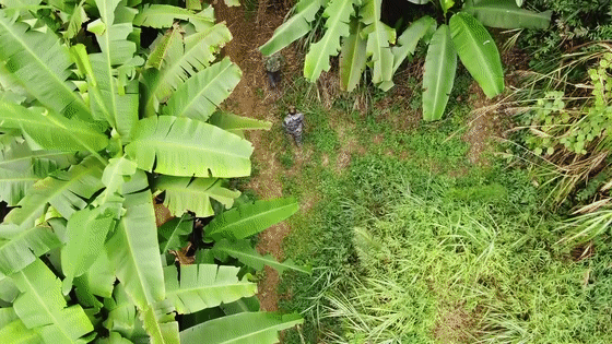 永州江华：林业英雄余锦柱再获国家级荣誉全省唯一[00-04-15--00-04-20].gif