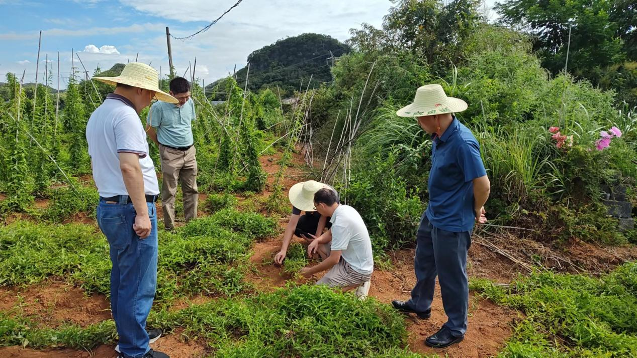 省自然资源厅耕保处到江华开展补充耕地项目实地核实工作