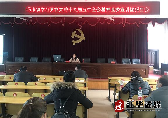 码市镇：集中学习贯彻党的十九届五中全会精神