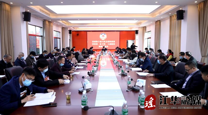 罗建华参加协商讨论