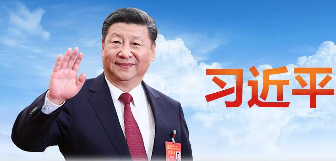 金句来了｜一起学习领会习近平总书记全面依法治国重要文章