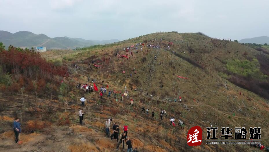 【新时代文明实践在江华】我县开展义务植树活动 今年计划义务植树115万余株