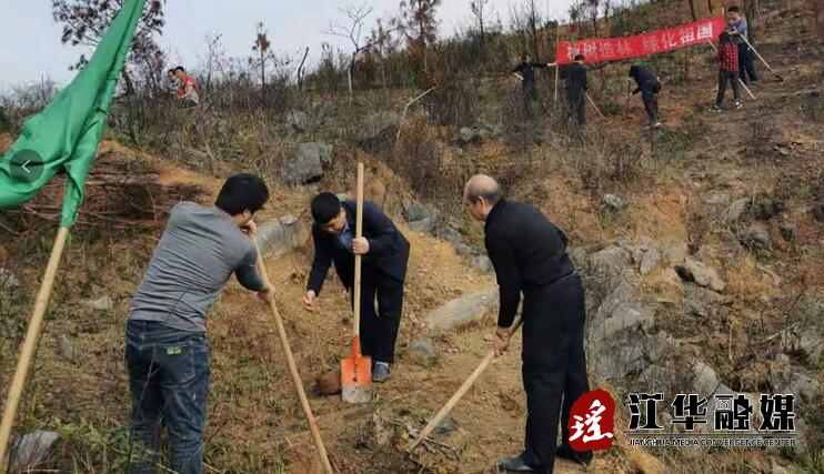 县司法局组织开展植树活动