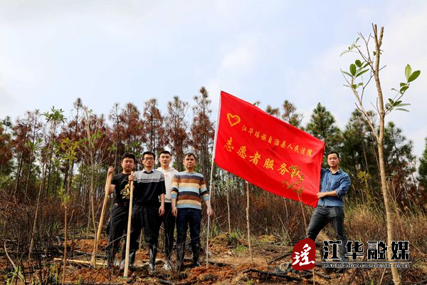 县人民法院：为构建和谐美丽家园增添一抹绿