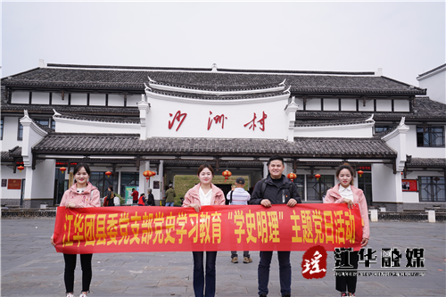 团县委党支部开展党史学习教育 “学史明理”主题党日活动