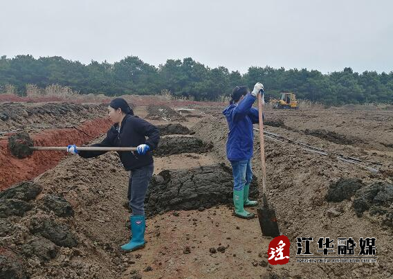 牛粪变废为“宝”  经济生态双赢