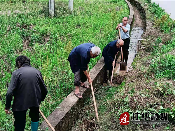 码市镇：新上任村支部书记办实事开新局