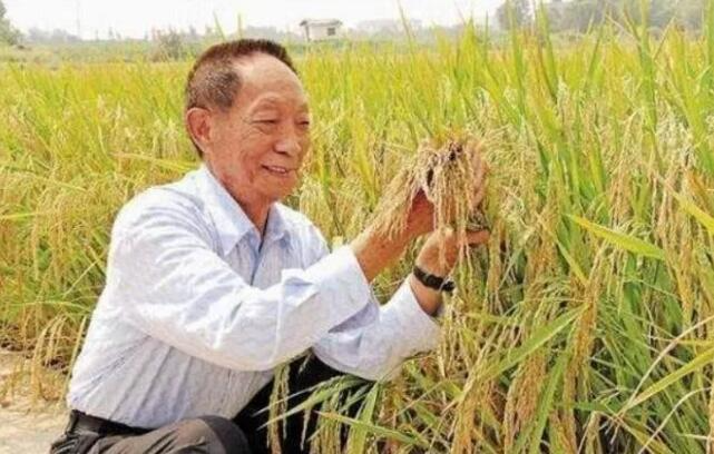 她曾给袁隆平接生！这份珍藏75年的病历曝光......