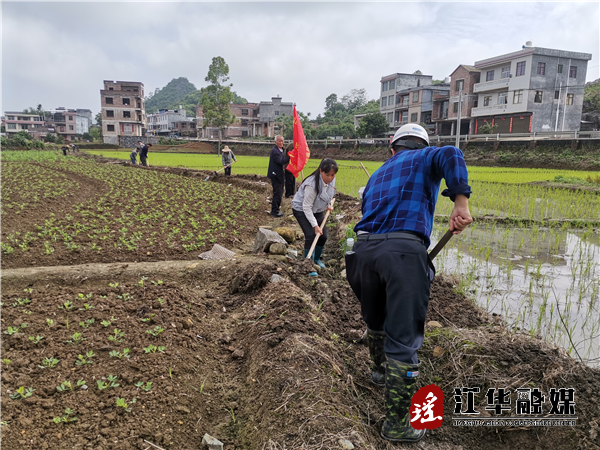 涛圩镇上游来富村：兴修水利 助力春耕