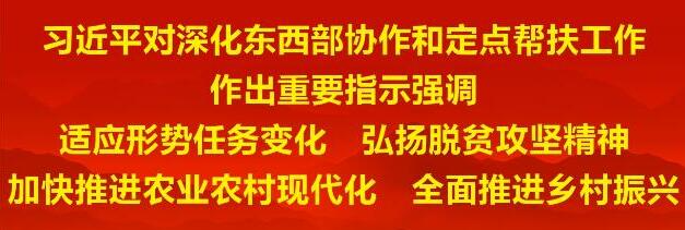 习近平对深化东西部协作和定点帮扶工作作出重要指示强调 适应形势任务变化 弘扬脱贫攻坚精神 加快推进农业农村现代化 全面推进乡村振兴