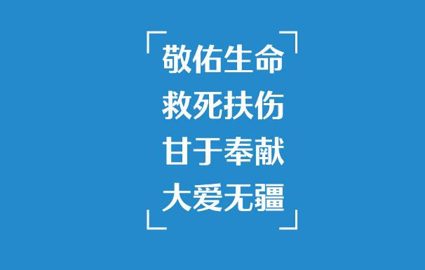 这个敬佑生命的群体，习近平十分关心