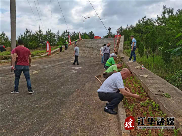 县城市园林绿化服务中心：学史崇德  为红色基地添新绿