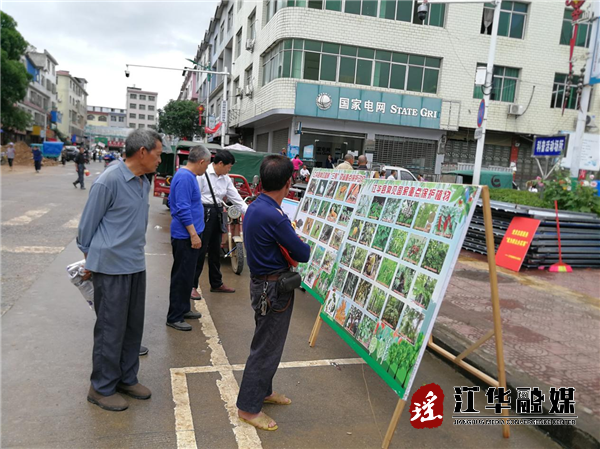 【我为群众办实事】县森林公安联合涛圩镇开展“学党史、悟思想，我为群众办实事”实践活动