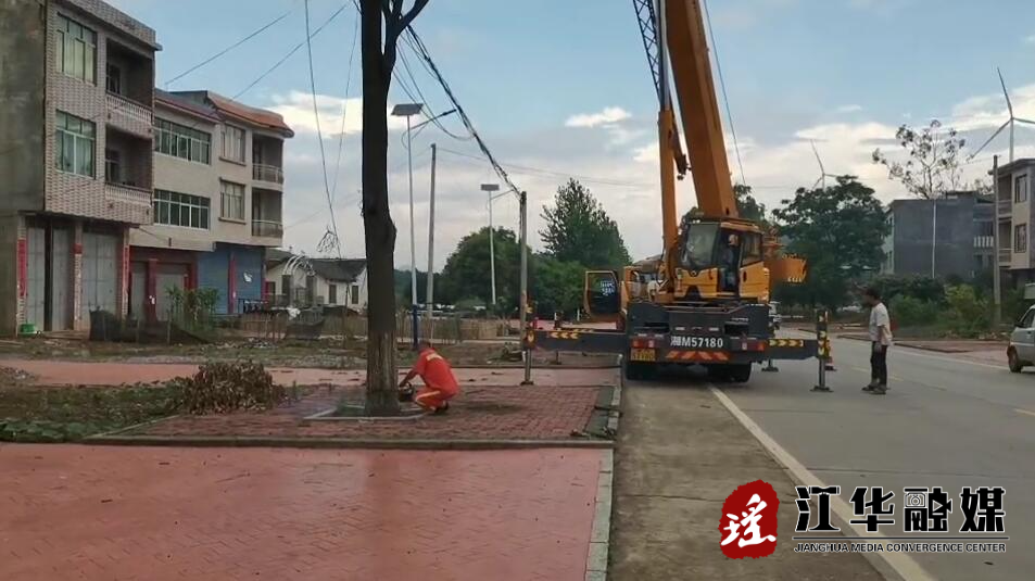 【我为群众办实事】县公路建设养护中心：清理交通干道沿线枯死树木 消除安全隐患