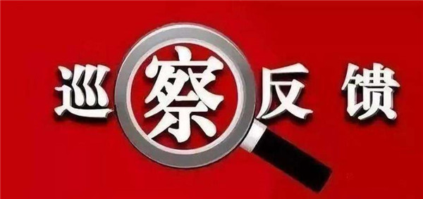 十二届县委第九轮巡察完成反馈 14个县直单位拿到“体检报告”