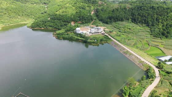 梧桐树下启梦家园：带游泳池的留守儿童之家
