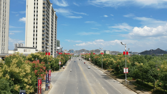 江华：“国庆树”花果并茂竞相绽放[00-00-01--00-00-06].gif