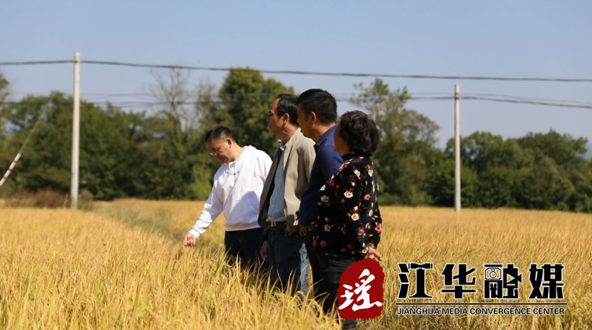 微信截图_20221018092445.png