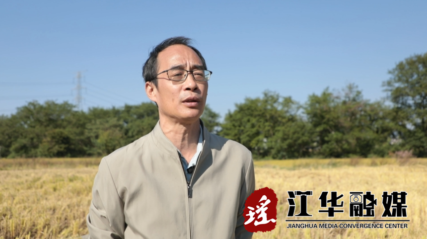 杨.png