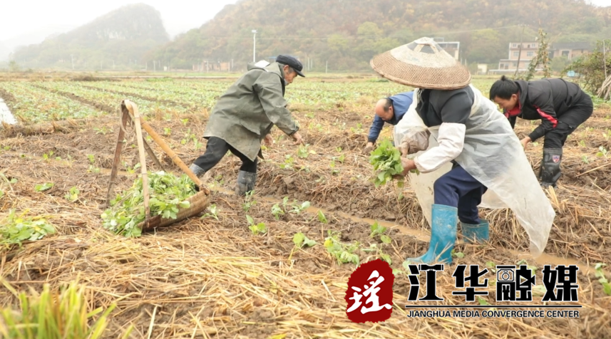 微信截图_20221121101210.png 微信截图_20221121101210.png