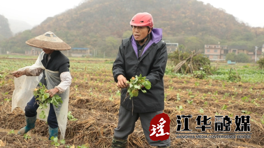 伍继归.png 伍继归.png